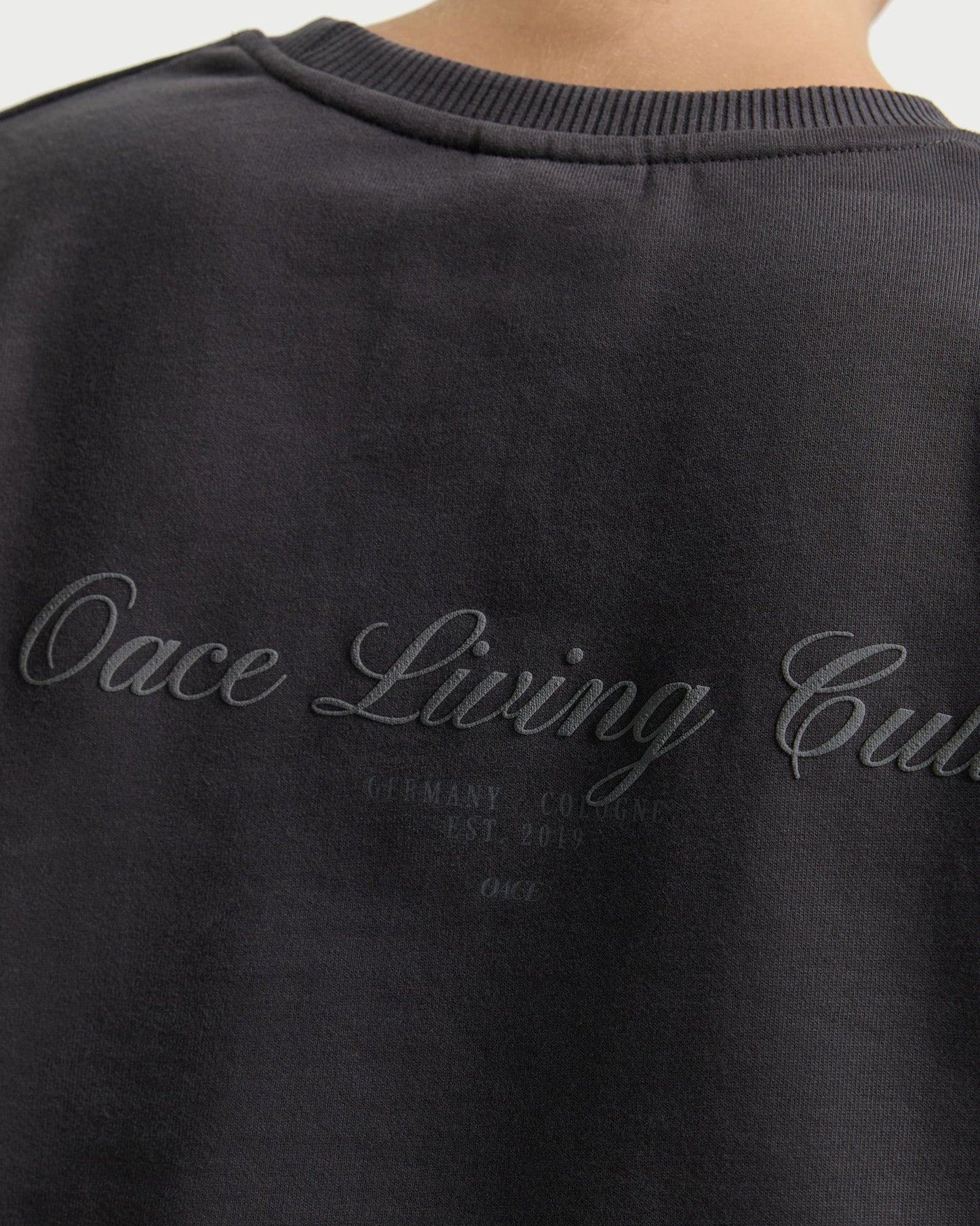 Legacy Cropped Longsleeve